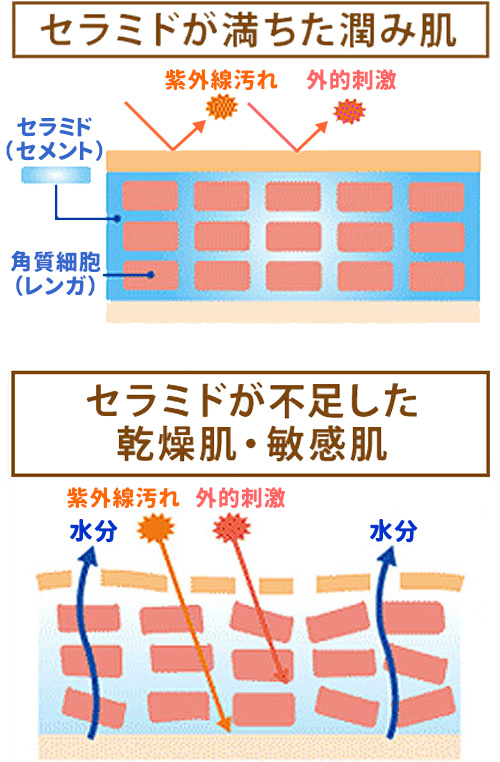 セラミド,化粧水,無添加,通販